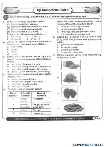 Sistem Pencernaan Makanan