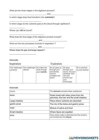 Digestion and respiratory system
