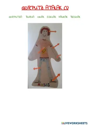Gorputz atalak (1)