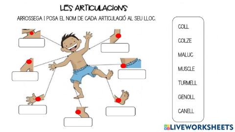 Les articulacions