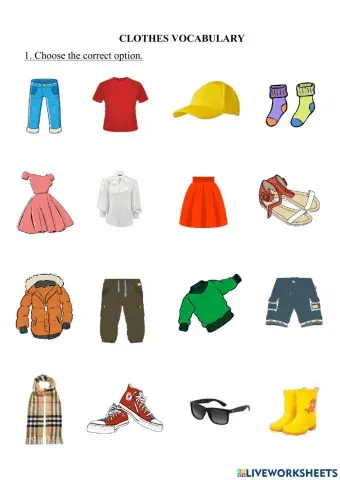 Clothes