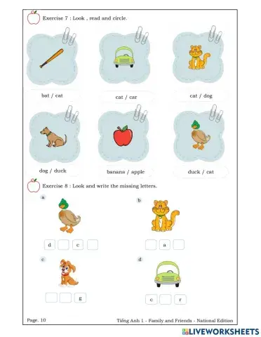 FF1.U1 numbers and colors