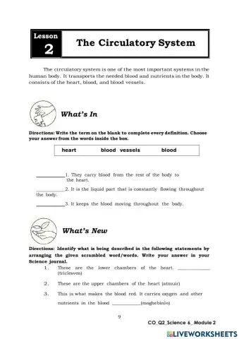 Circulatory System Worksheet