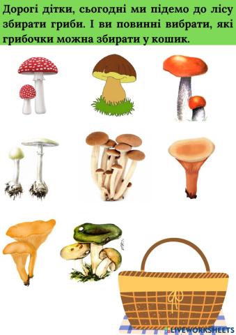 Вивчення отруйних і не отруйних грибів