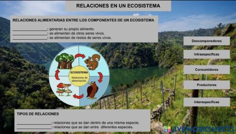 Ecosistemas