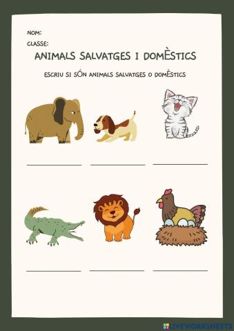 Animals salvatges i domèstics