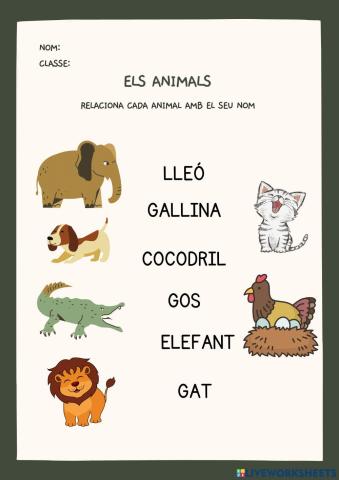 Noms dels animals