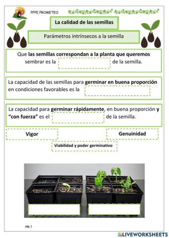 Propiedades de las semillas