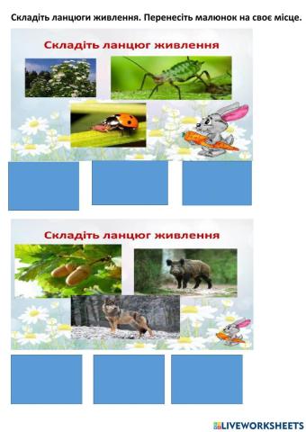 Ланцюг живлення