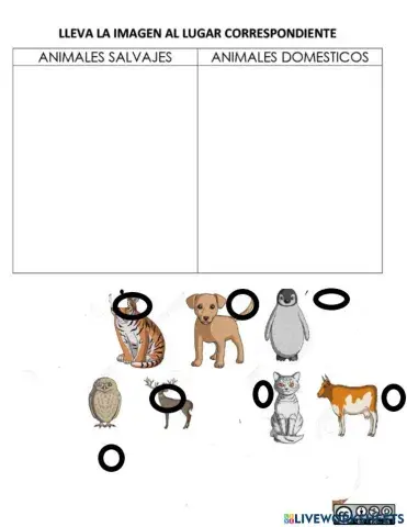 Animales domésticos y salvajes