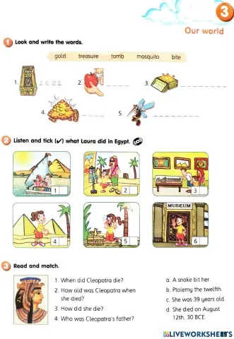 Smart Junior 4. WB p.25