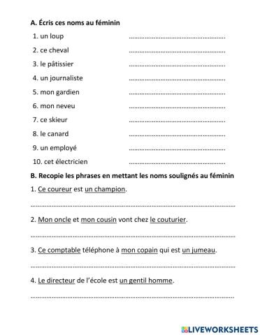 Le féminin des noms