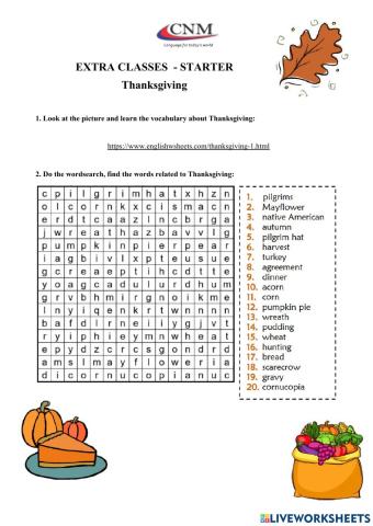 Thanksgiving History