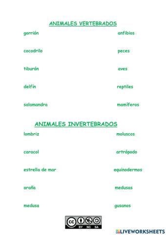 Animales vertebrados e invertebrados