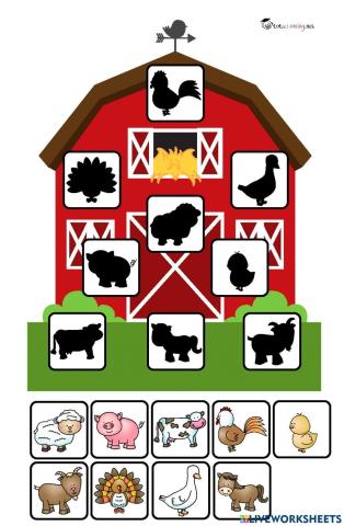 Розсели тварин по будиночках