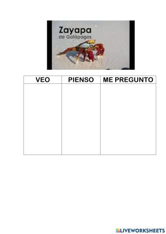 Veo pienso me pregunto