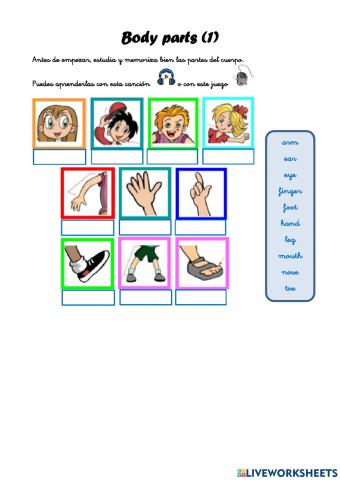 Body Parts 1