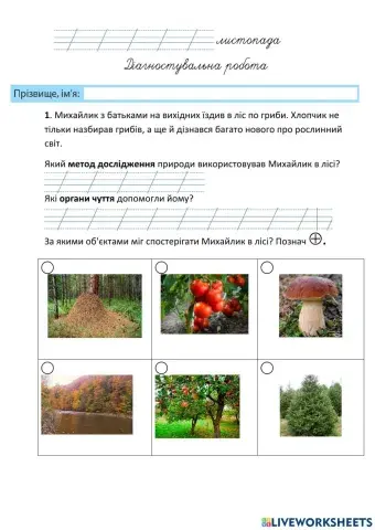 Діагностувальна робота Як людина досліджує природу