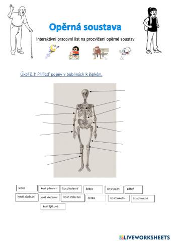 Pracovní list - Opěrná soustava