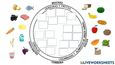 Los grupos de alimentos