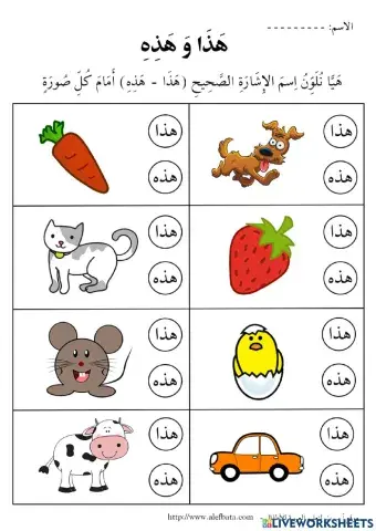 أسماء الإشارة هذا - هذه