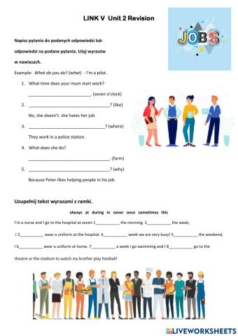 Jobs questions LINK V Unit 2