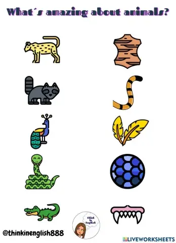 What-s amazing about animals?