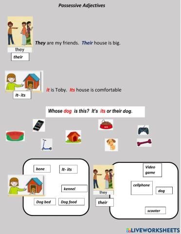 Possessive their and its