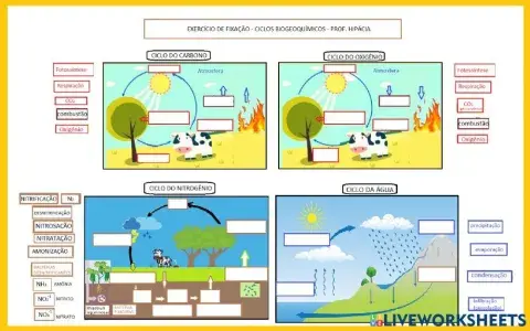Ciclos biogeoquímicos