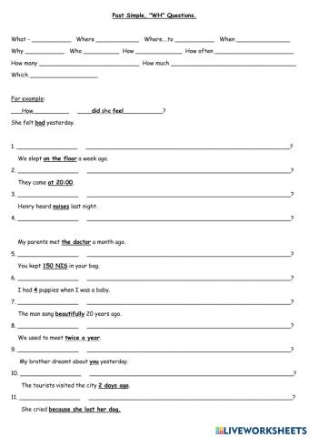 Past Simple WH Questions - Dina Shterengas