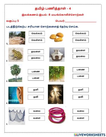 மயங்கொலிச்சொற்கள்