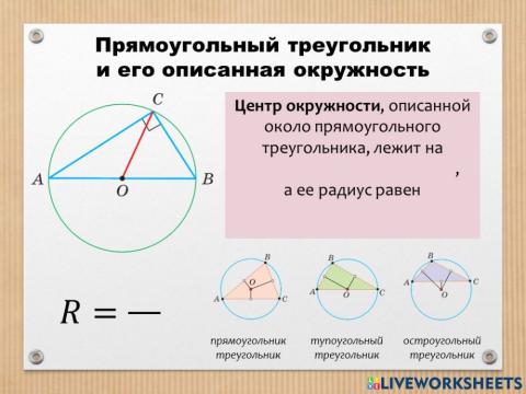 Прямоугольный треугольник и его описанная окружность