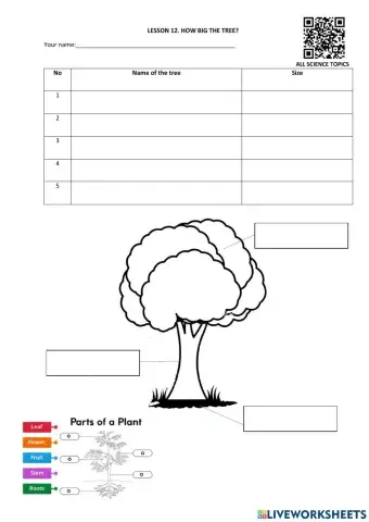 Lesson 12. how big the tree?