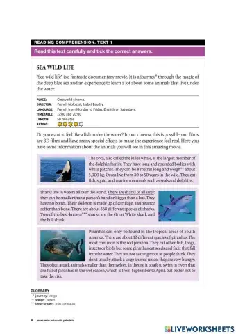 Competències bàsiques english reading