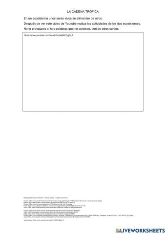 Ecosistemas - La cadena trófica