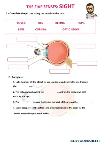 The five senses: Sight.