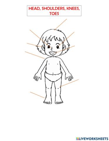 HEAD,SHOULDERS,KNEES AND TOES