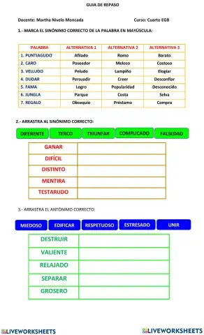 SINÓNIMOS Y ANTÓNIMOS