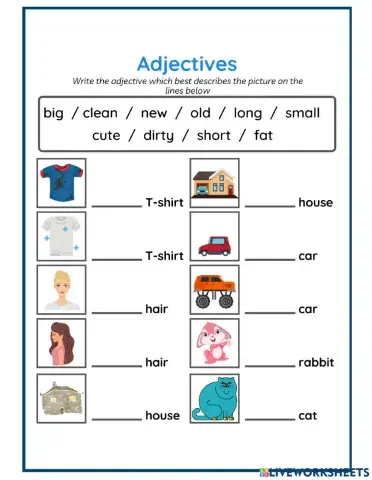Adjectives
