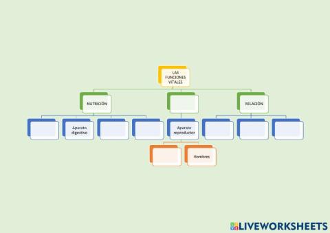Las funciones vitales