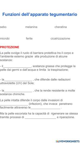 Funzioni apparato tegumentario