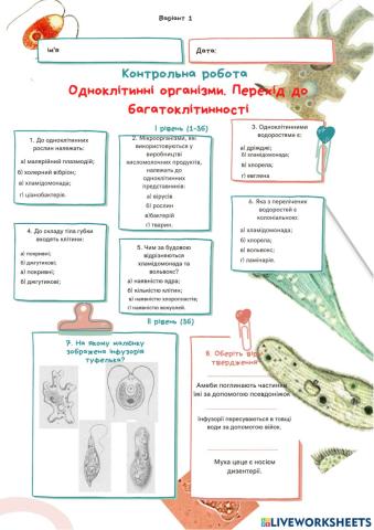 Контрольна робота. Одноклітинні організми. Перехід до багатоклітинності