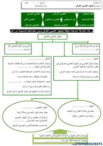 الجهاز العصبي الطرفي