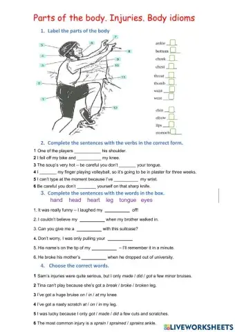 Parts of body. Injuries. Idioms