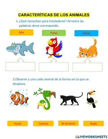 Características de los animales