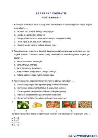 Asesment formatif p1 a1