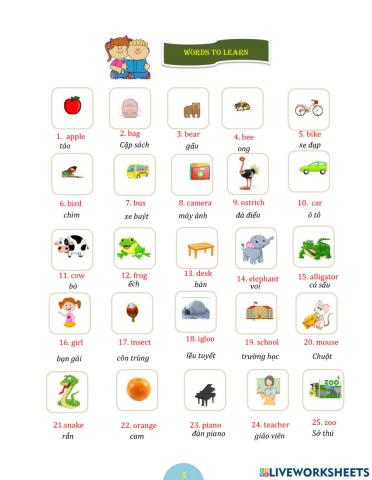 Places-animals-things-people vocabulary