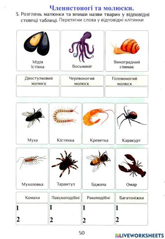 Ядс Робочий зошит с.50