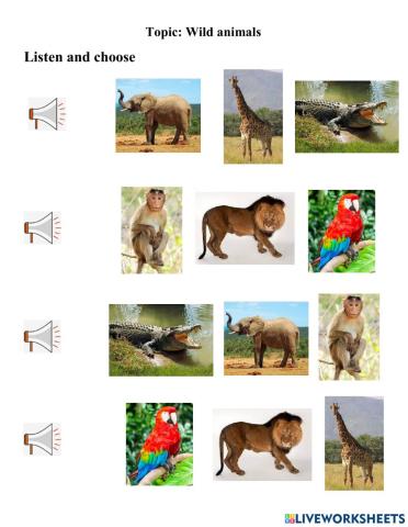 Which animals live in the wild? – Topic: Wild animals