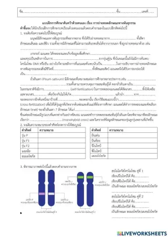 การถ่ายทอดลักษณะทางพันธุกรรม